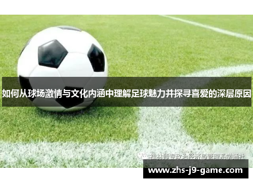 如何从球场激情与文化内涵中理解足球魅力并探寻喜爱的深层原因