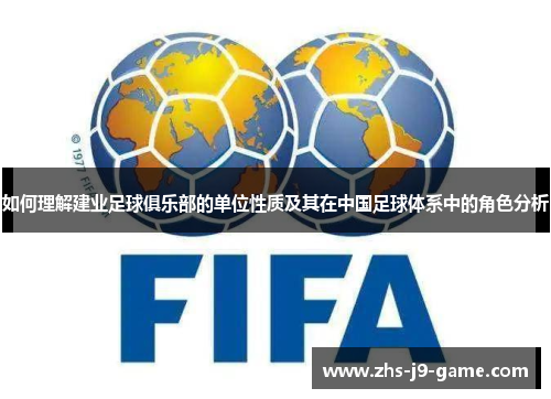 如何理解建业足球俱乐部的单位性质及其在中国足球体系中的角色分析